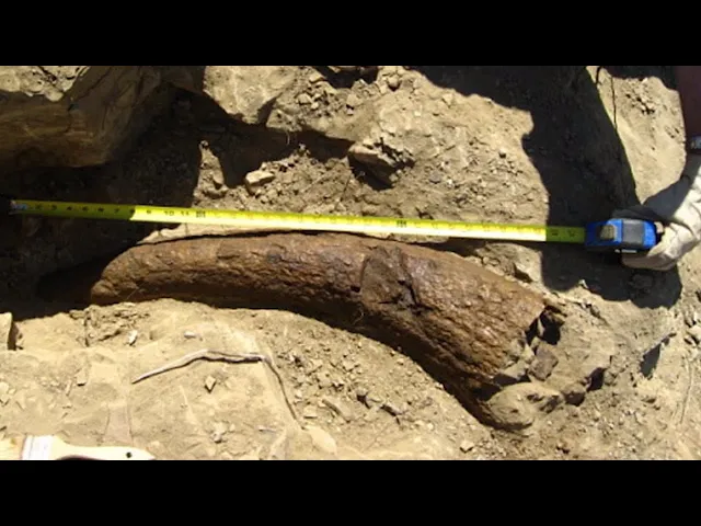 7 unsettling discoveries that will send shivers down your spine!
